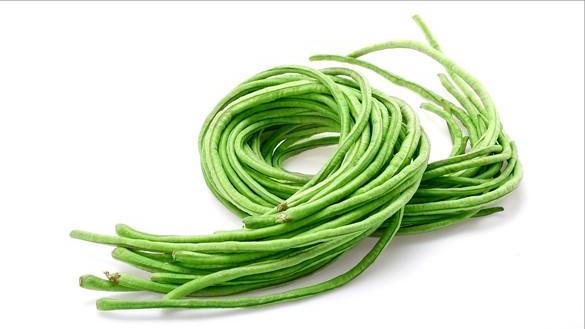 小满将至，新手在家，这6种菜放心种，易种活还不用打农药！