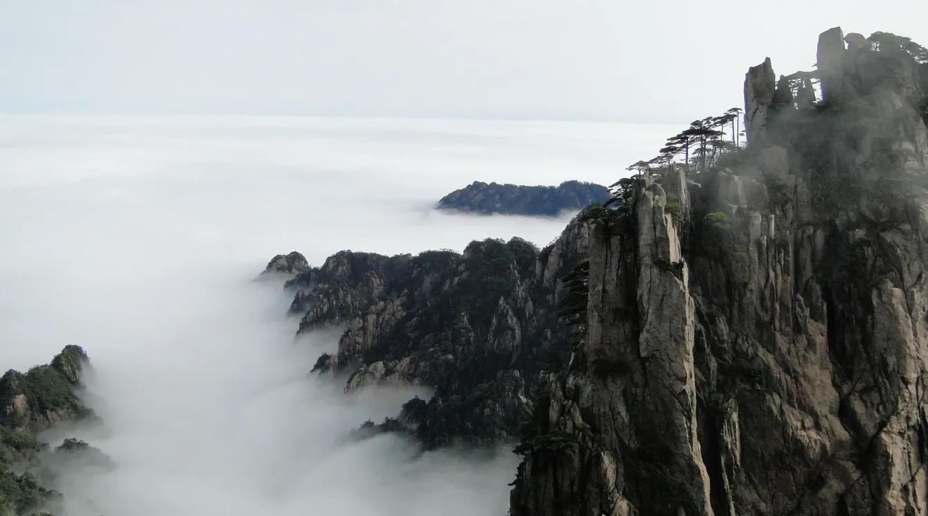 中国传统文化传承怎么称呼,亲近传统文化的命名方式