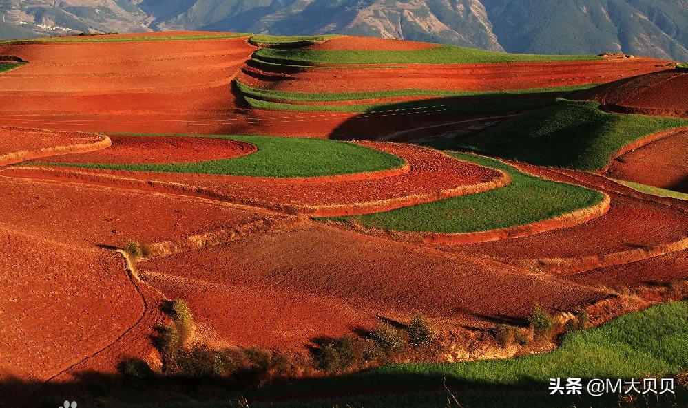 云南昆明市城市介绍,昆明辖区城市有哪些