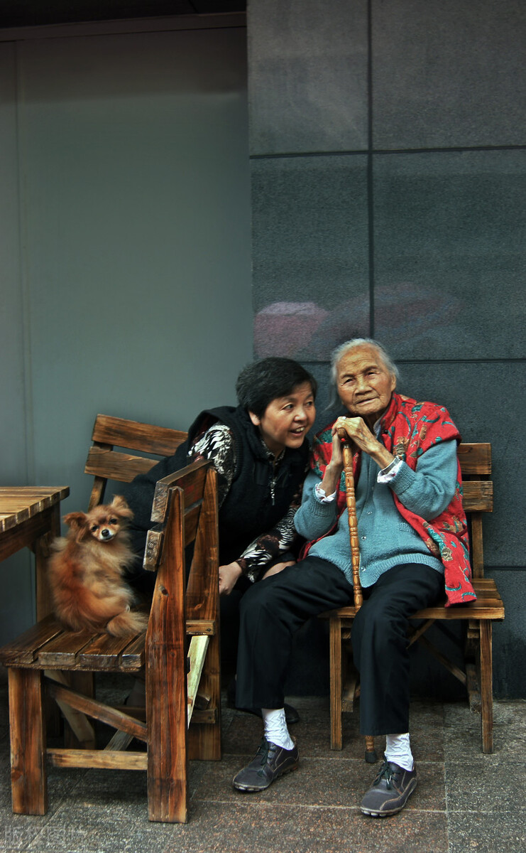 好婆媳相处人生感悟句子,婆媳相处之道全集完整版