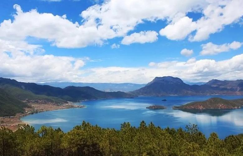 丽江程海之滨：万亩油橄榄装饰了我的梦