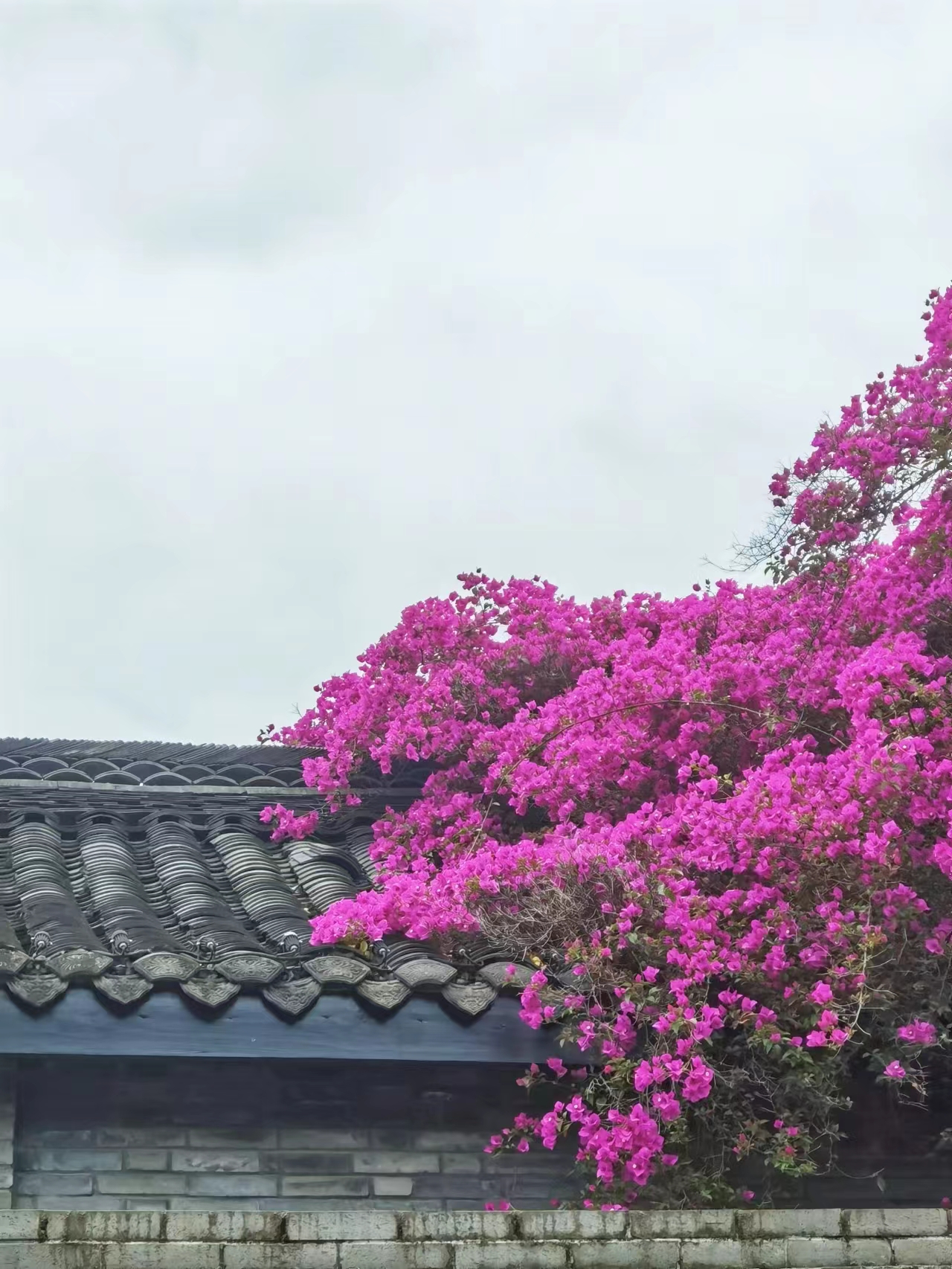 银行卡怕被人利用怎么办,一类银行卡可不可以借给他人用