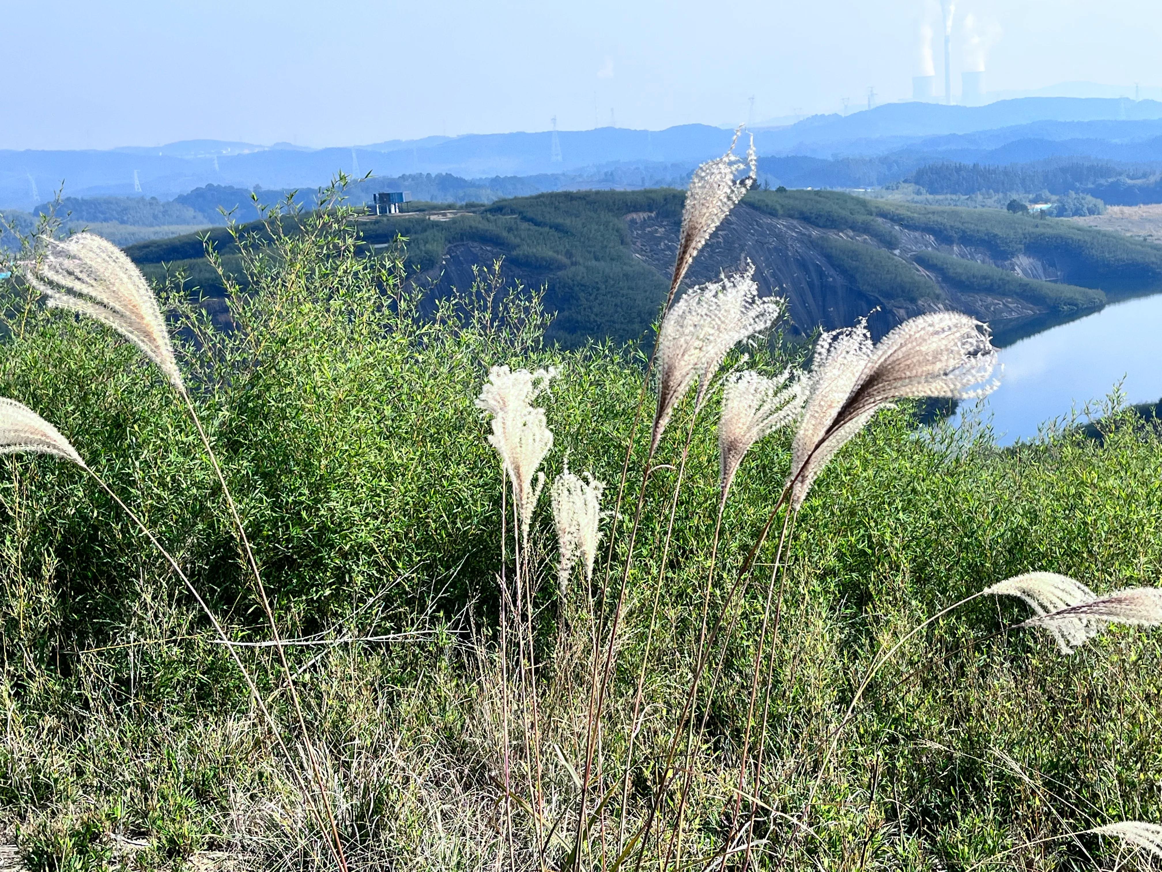 清明时节有感50字,清明时节有感