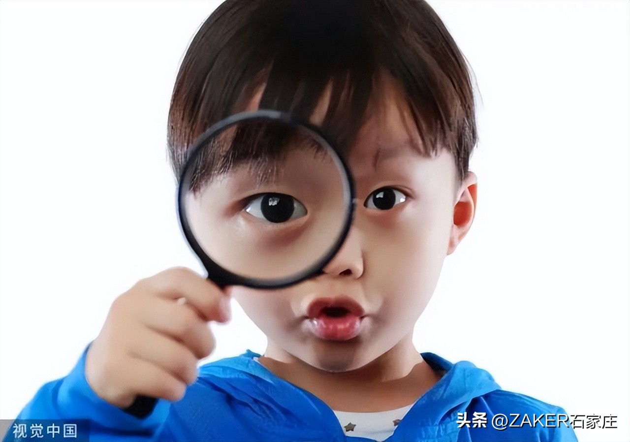 石家庄农批接驳专线,石家庄农批中心接驳专线