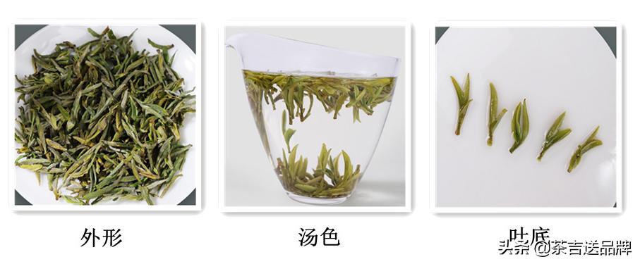 黄山毛峰是什么茶,茶叶安徽黄山毛峰