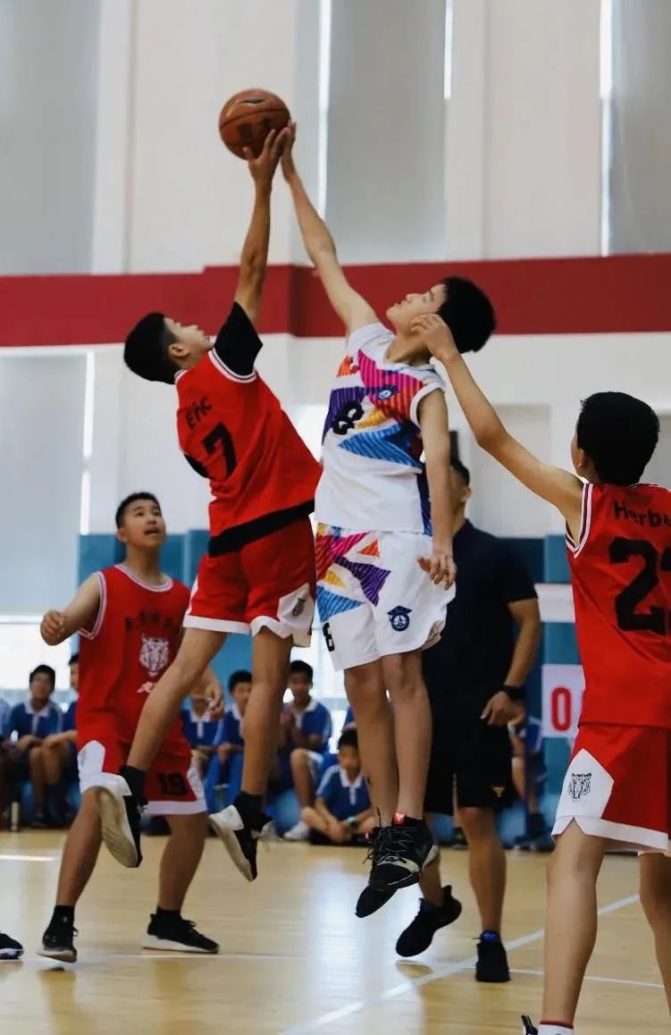 育才二小深圳2019,南山区育才二小