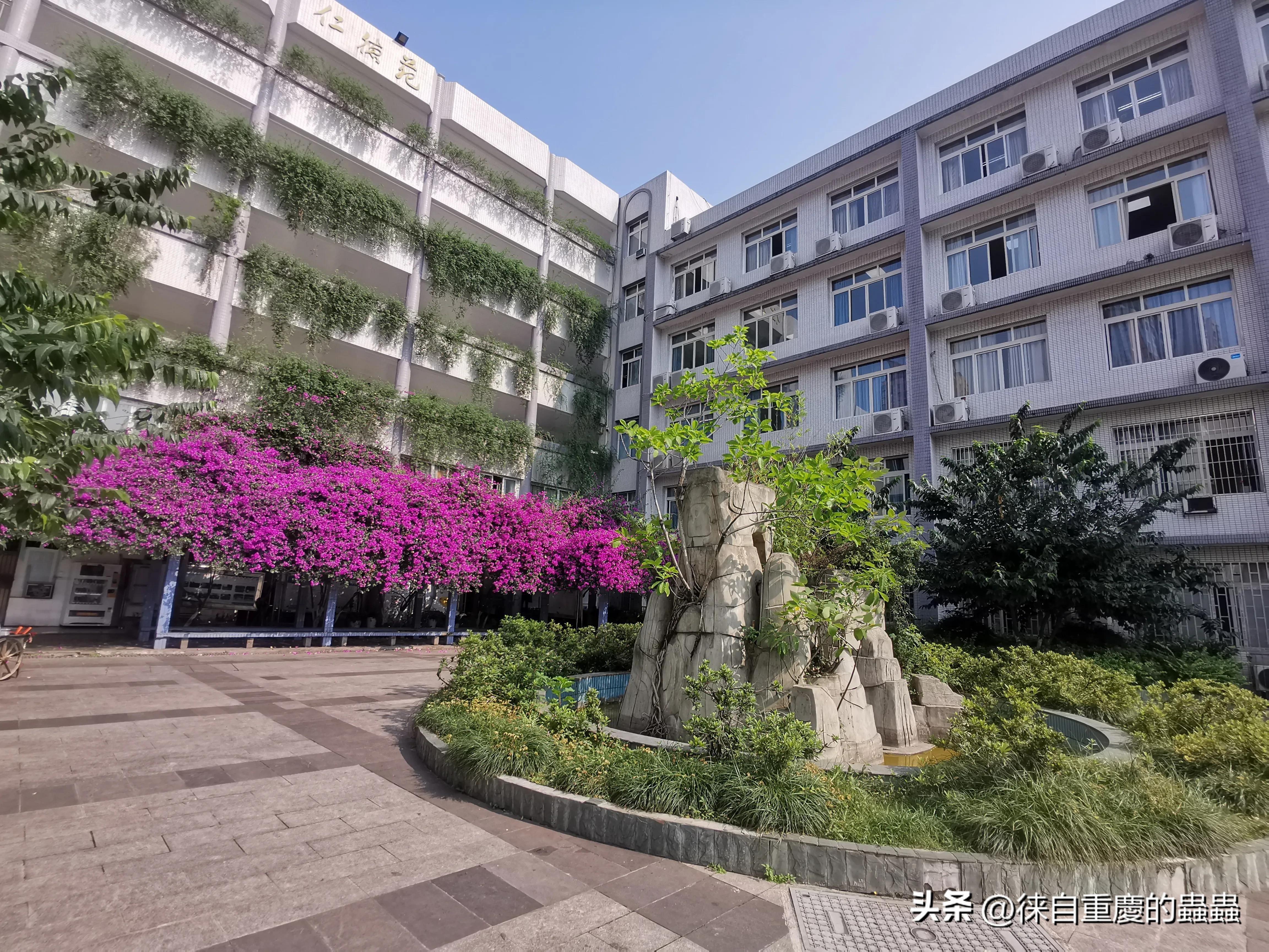 漫漫人生路--差点在录像厅里*身失**