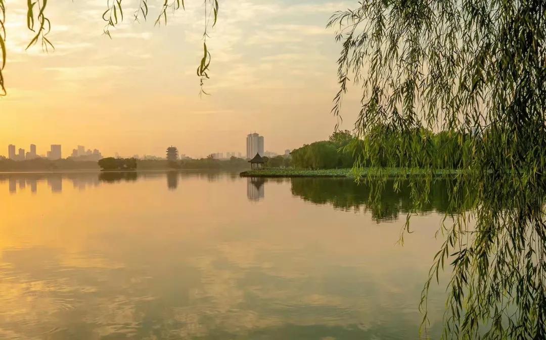 济南的春天来了吗,济南春天来了