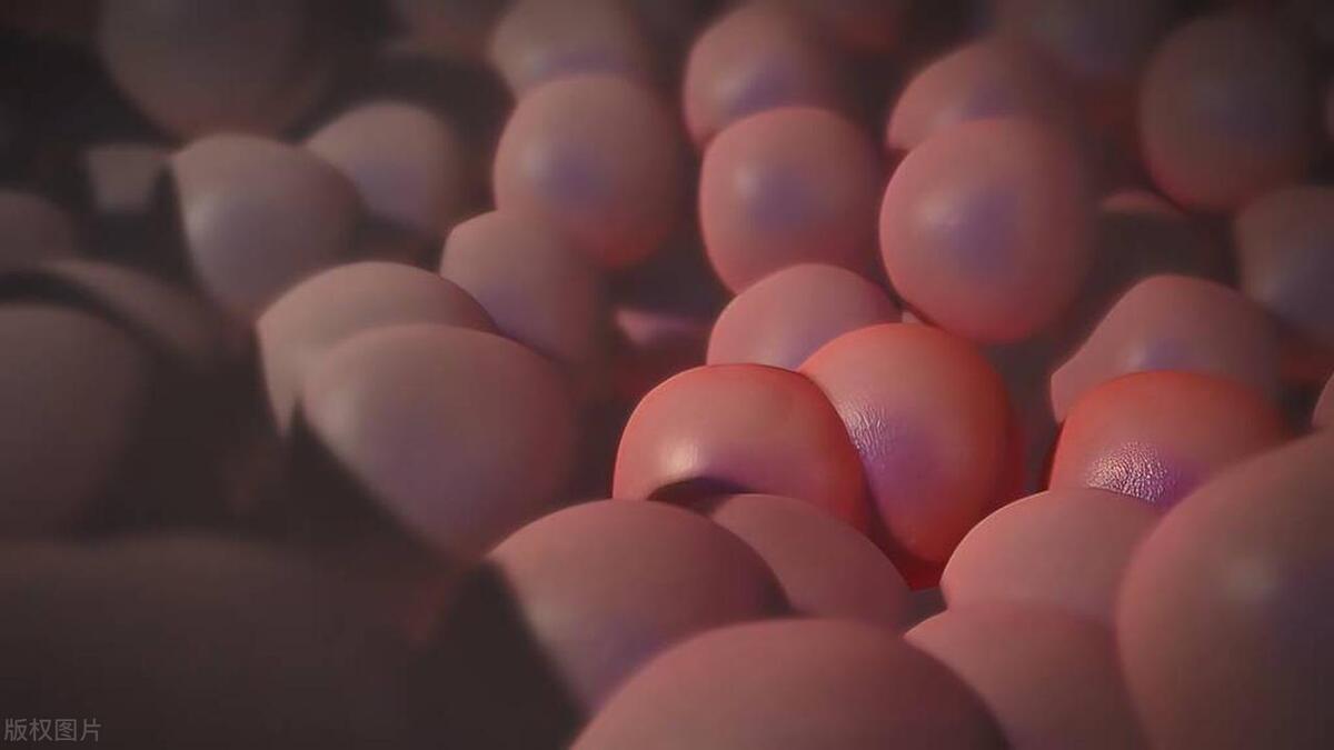 癌中之王胰腺癌有多可怕,癌中之王胰腺癌怎么缓解