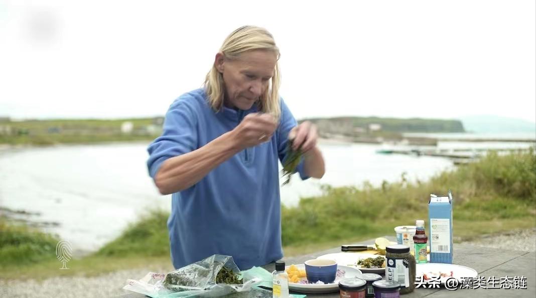 海藻要怎么吃更好吃,哪种海藻最好吃