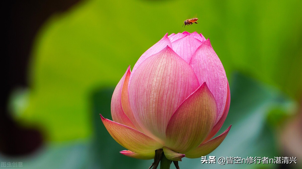 四十岁以后的人生万事随缘,40岁以后发大财的人