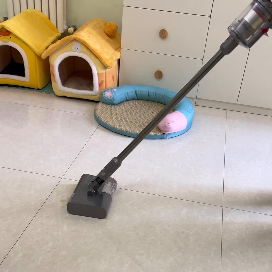 戴森吸尘器养宠物用哪款,戴森吸尘器要不要买洗地一体