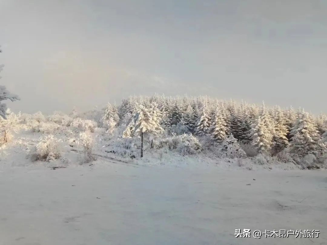 西安秦岭看雪景的最佳地方,西安秦岭小火车看雪景攻略