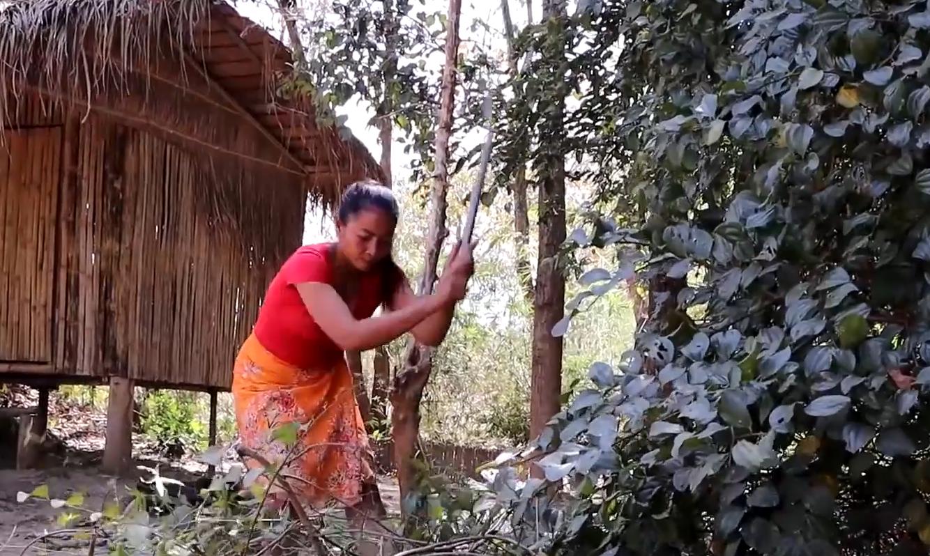 泰国蚂蚁大餐,泰国蚂蚁蛋的吃法