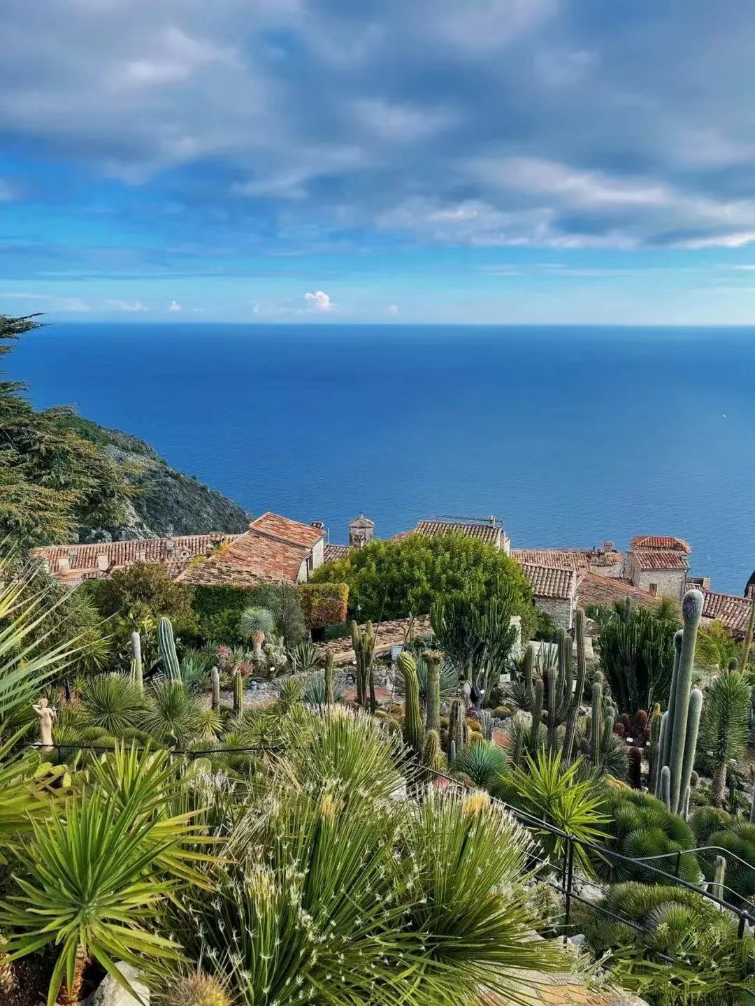 热门考点collect有关知识点解析