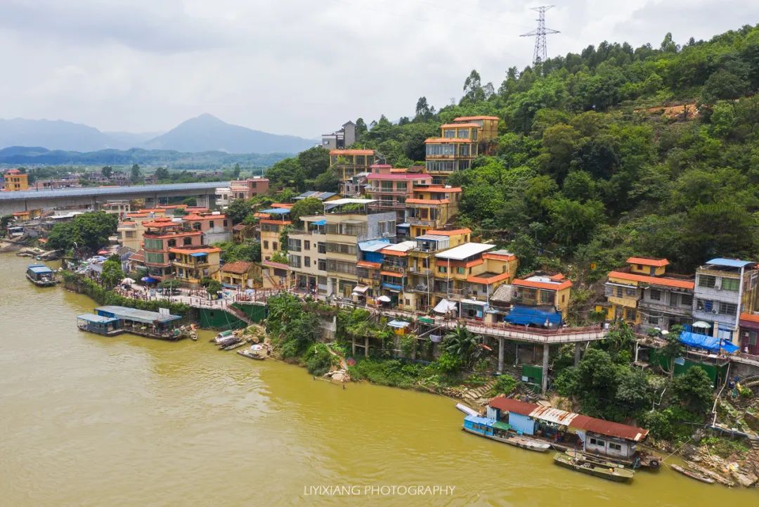 清远鸡什么地方最好,清远鸡冷知识