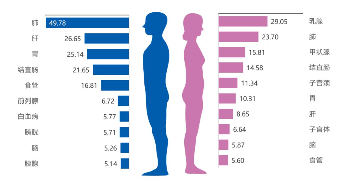 重视体检,远离烟酒,养护肝肺胃,构筑父亲健康的家庭防线