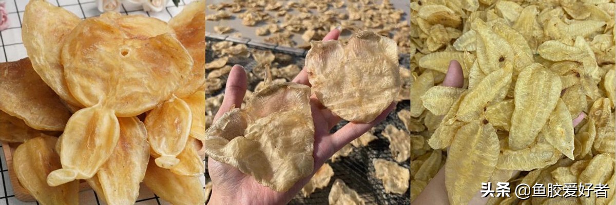 什么样的鱼胶不建议买,不建议入手的鱼胶