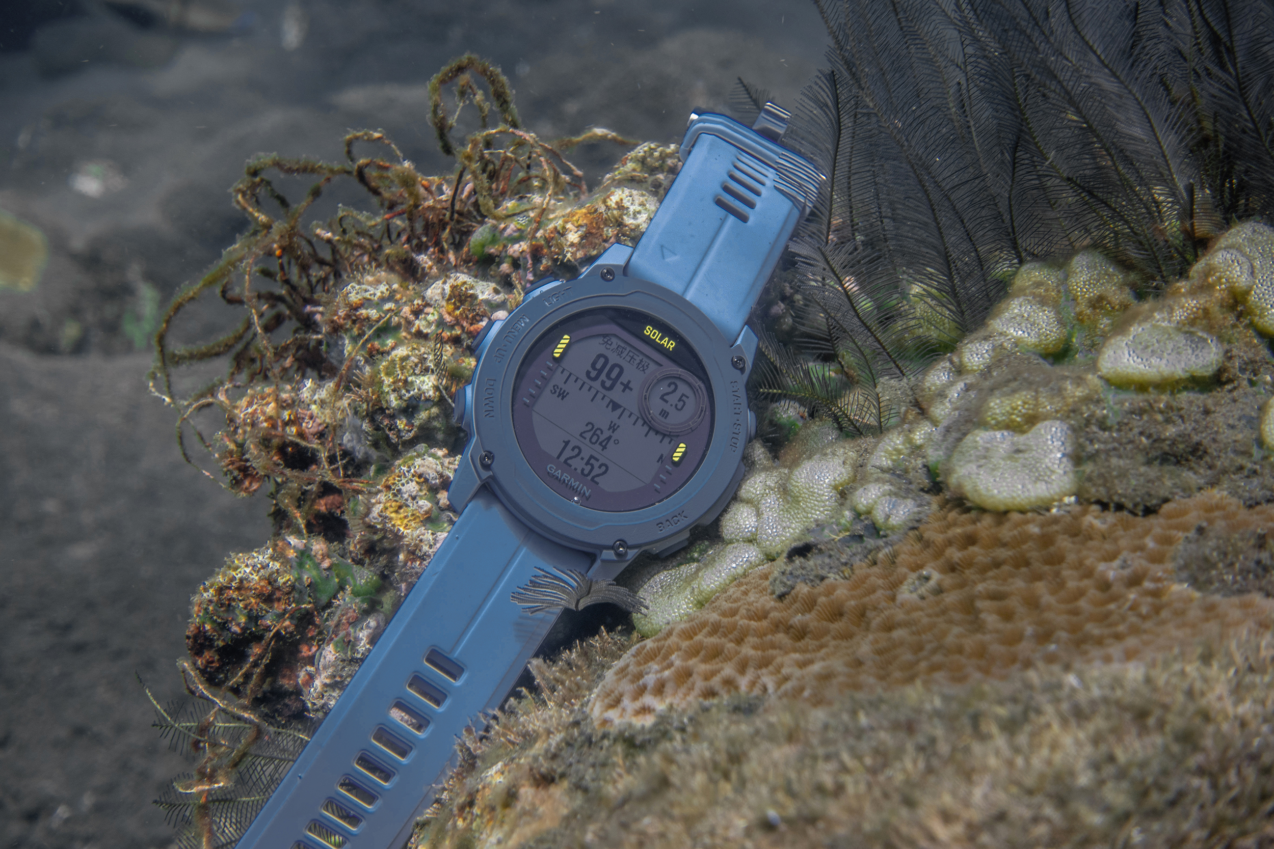 用GPS记录我的潜水生活--佳明DescentG1太阳能潜水电脑使用体验