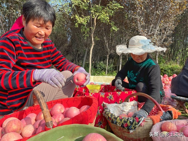 村干部现场讲解振兴乡村致富经验,聚焦三农谈农村如何振兴乡村