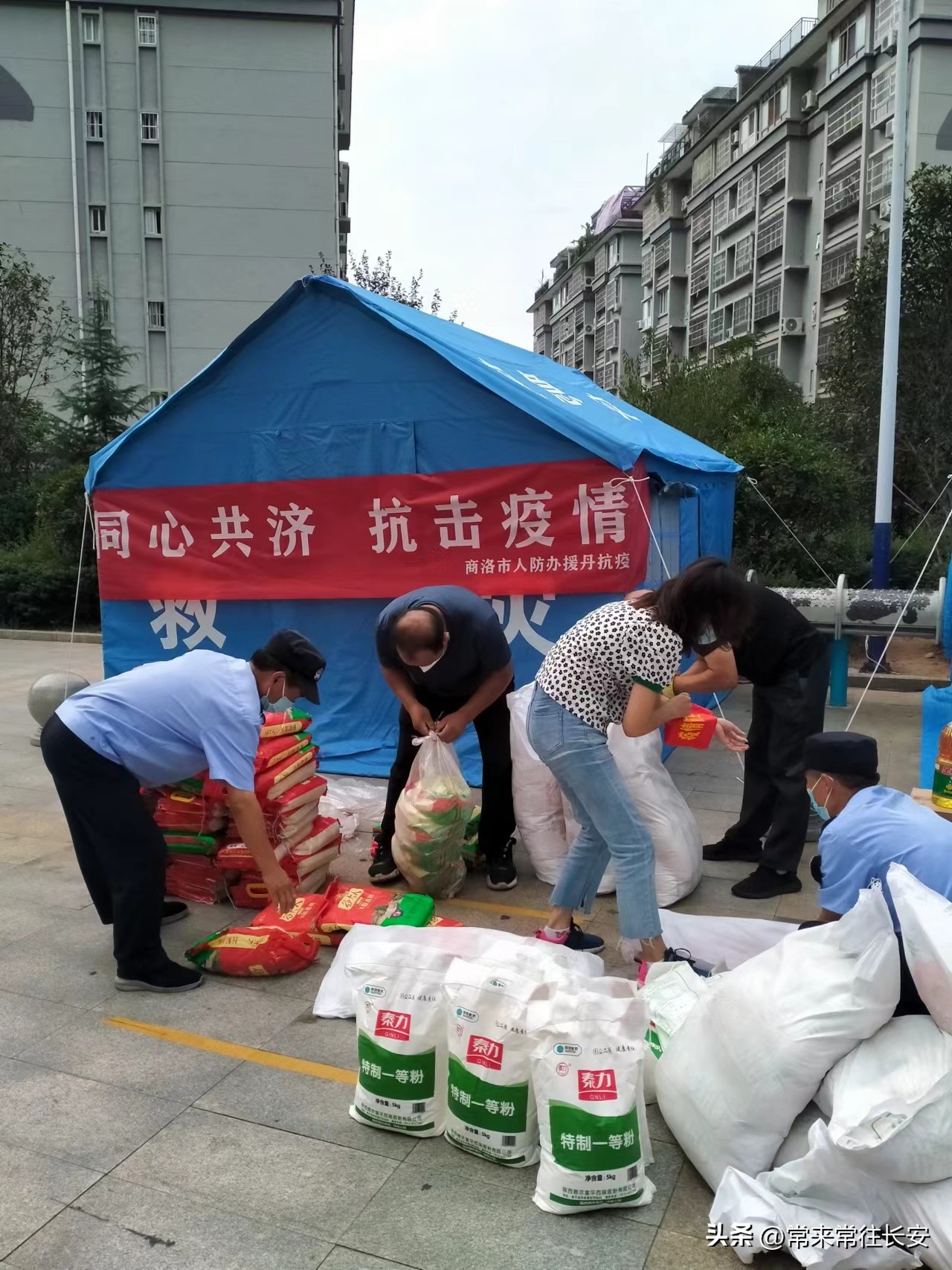 疫情无情人有情危难之中显担当市县机关下派金山小区的*党**员志愿者
