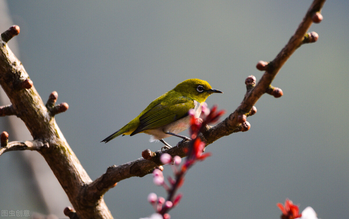 郭进拴走进静升镇,郭进拴原创长篇