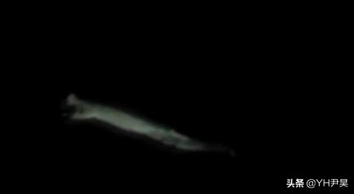 山村十大诡异怪事件,四川大山发现的怪物