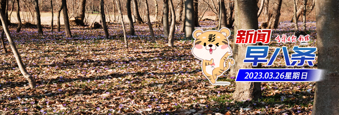 吉林省房产测绘面积最新标准,吉林省规划调整规定