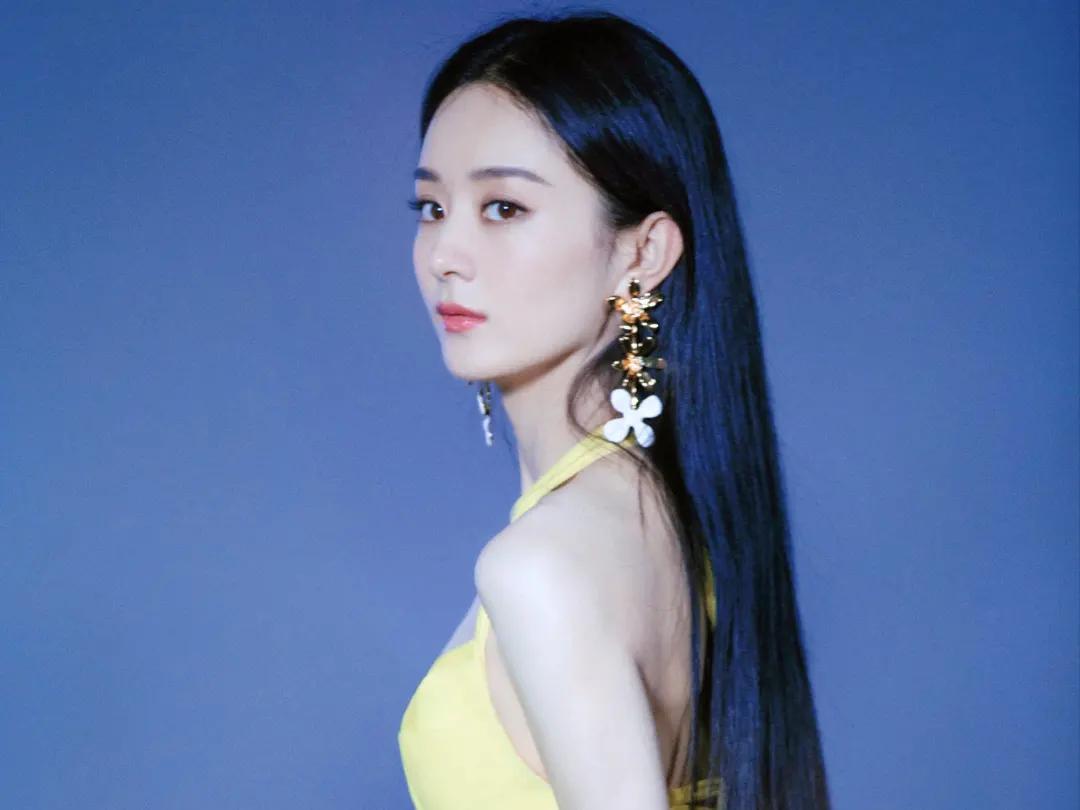 赵丽颖入股几家公司一年赚多少,赵丽颖拥有的公司都有哪些