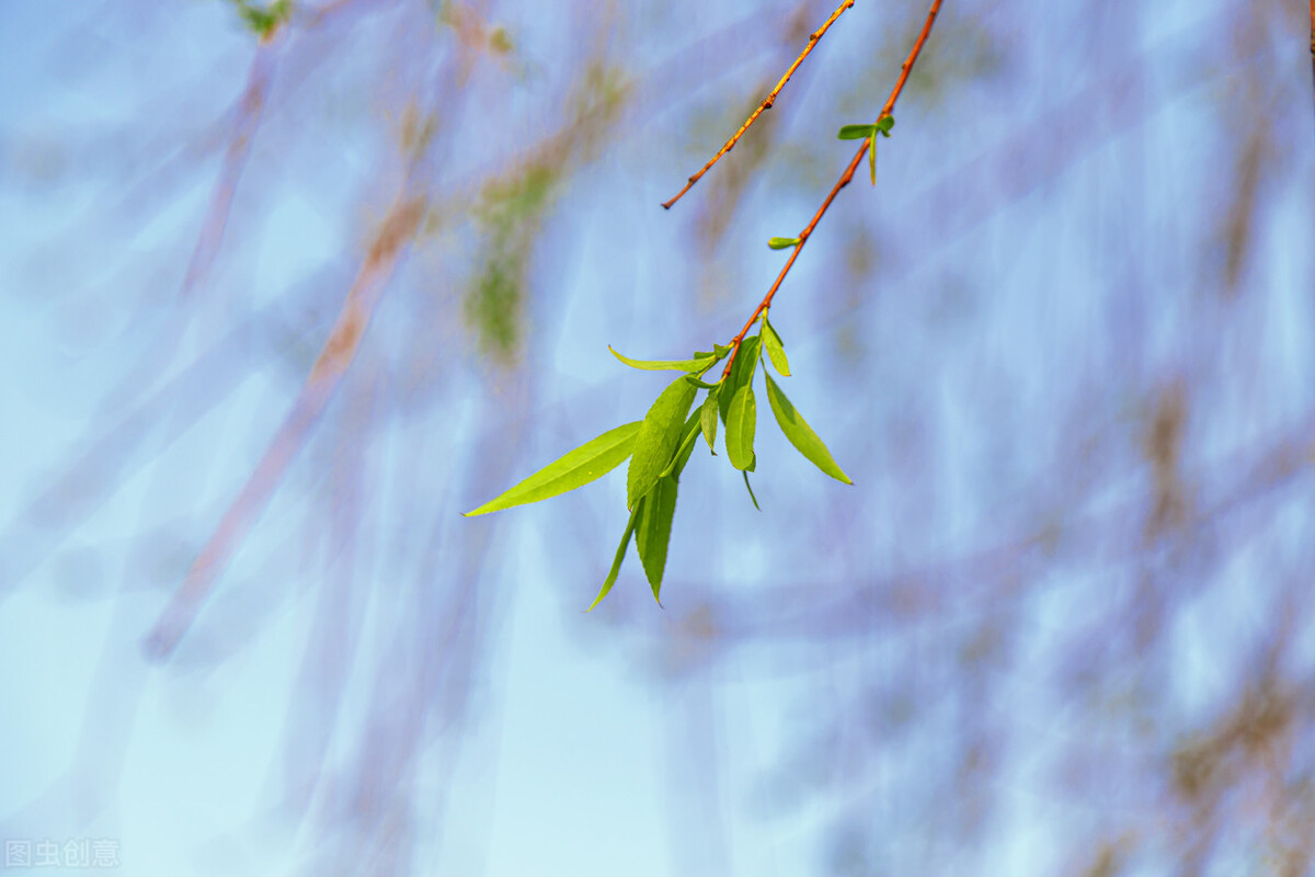 清都的原创诗词，4年作品合集，用文字记录生活