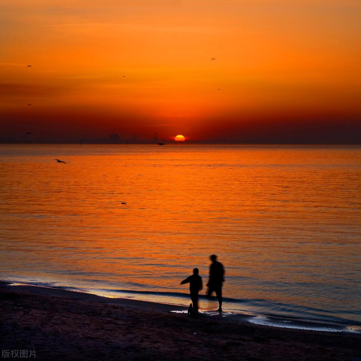 2022年春节秦皇岛免费景点一览表,秦皇岛必游十大景点