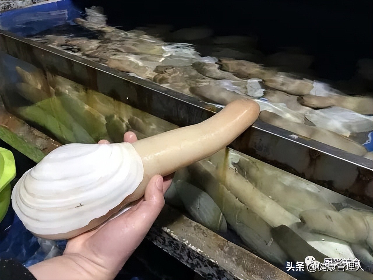 世界顶级海鲜食材,世界顶级的海鲜视频