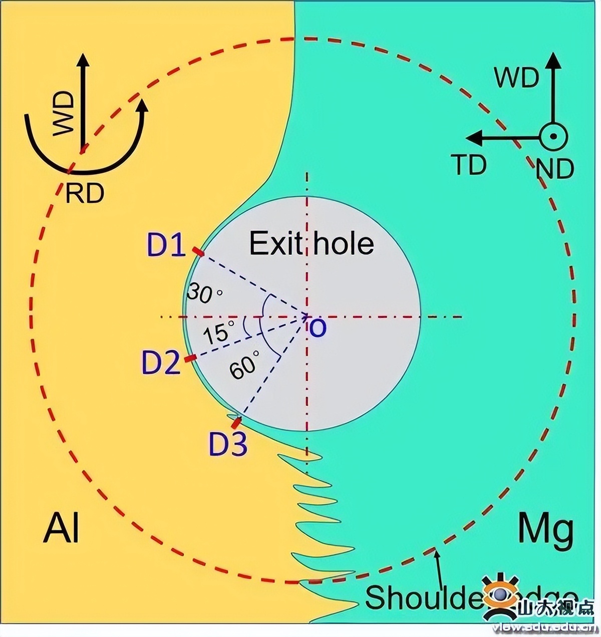 乘风破浪再奋进!姗姗带你看SDU最新学术一览