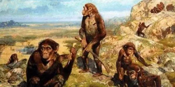 孟加拉人种划分,西藏人种划分