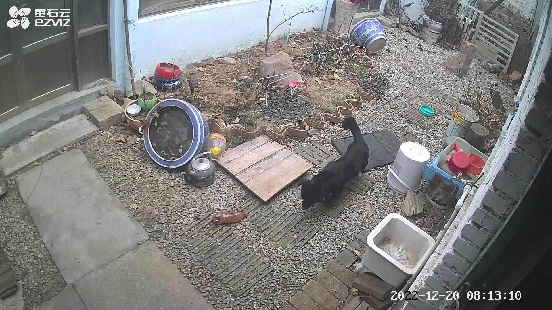 饲料拌料机改造,饲料机改装颗粒机