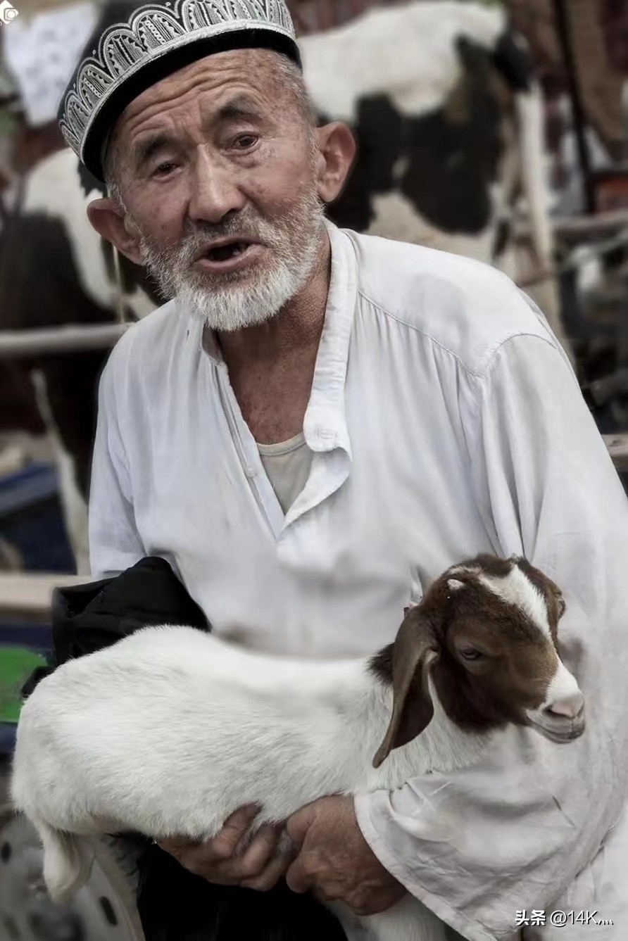 鏂扮枂璇′簨褰曞ぉ灞辩瘒13,鏂扮枂璇′簨褰曞ぉ灞辩瘒10