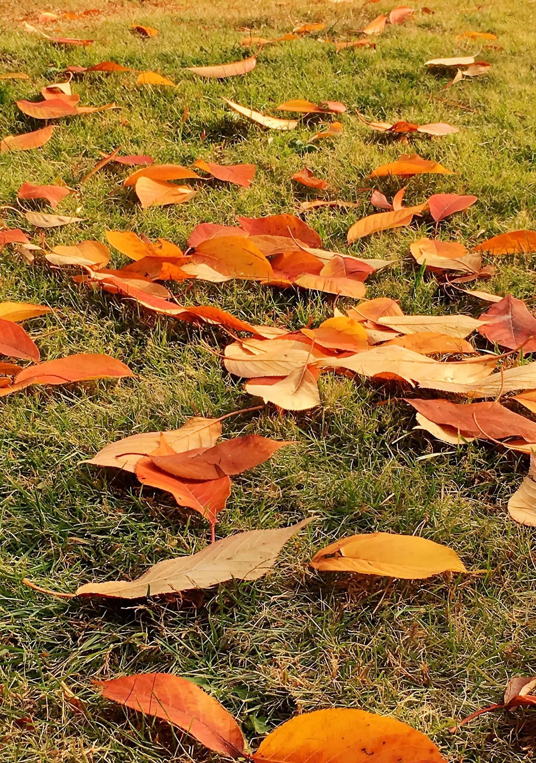 人生想开了都是答案,人生这么短暂想开了就无所谓了