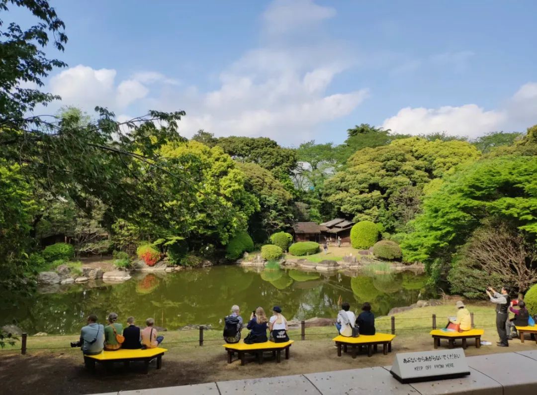 日本御守可以买吗,代购日本御守可以购买吗