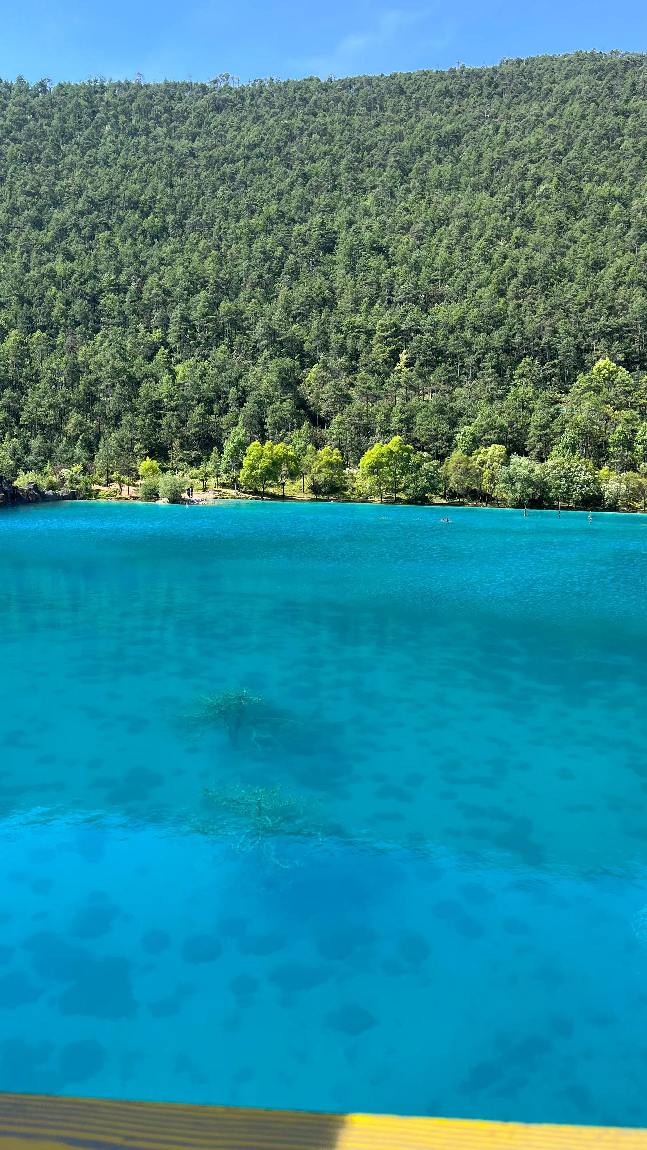 四川云南自助游攻略,云南自由行旅游攻略