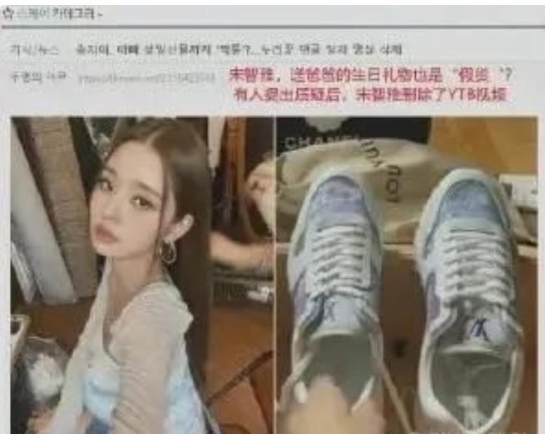 宋智雅在韩综片段 (宋智雅韩综视频)