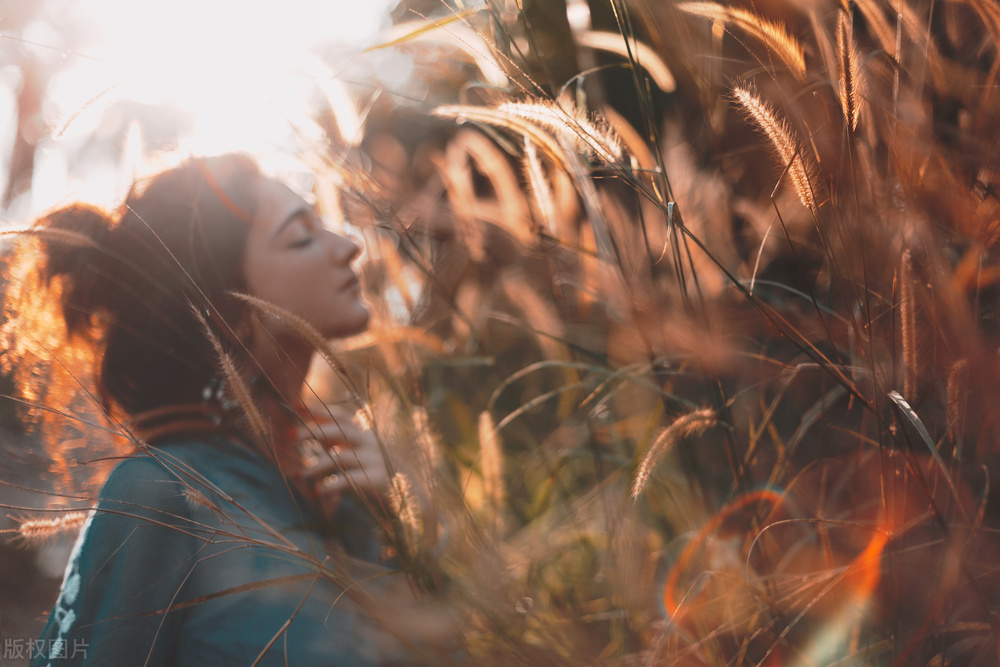 小小说金包银,小小说包包