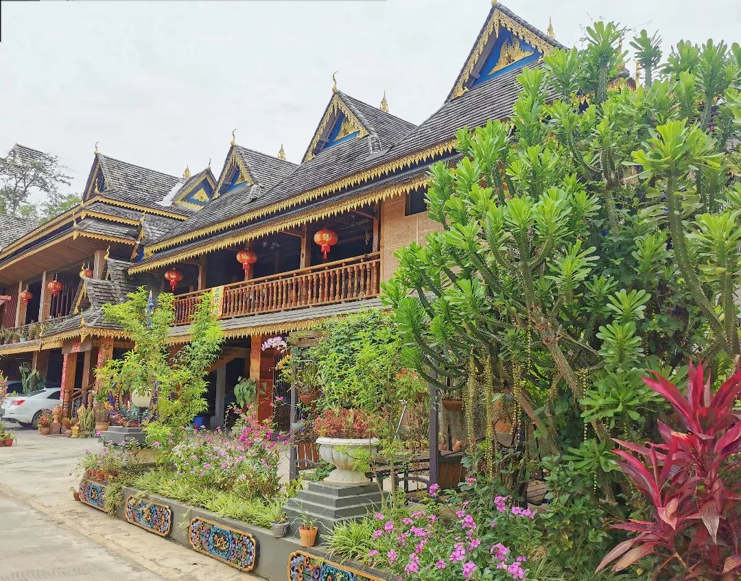 西双版纳七天六夜攻略,西双版纳五天六夜之旅完美结束