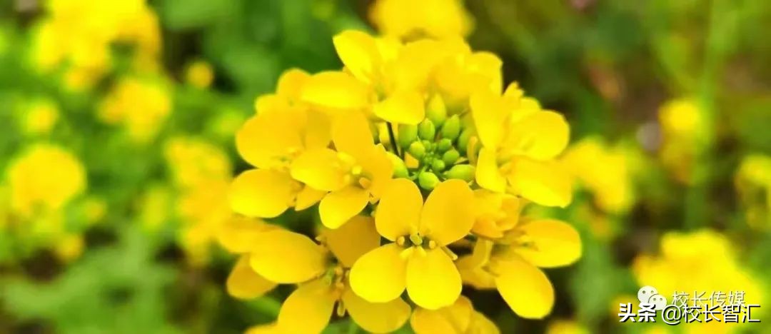 聚焦双减提质增效,双减形势下减负提质增效