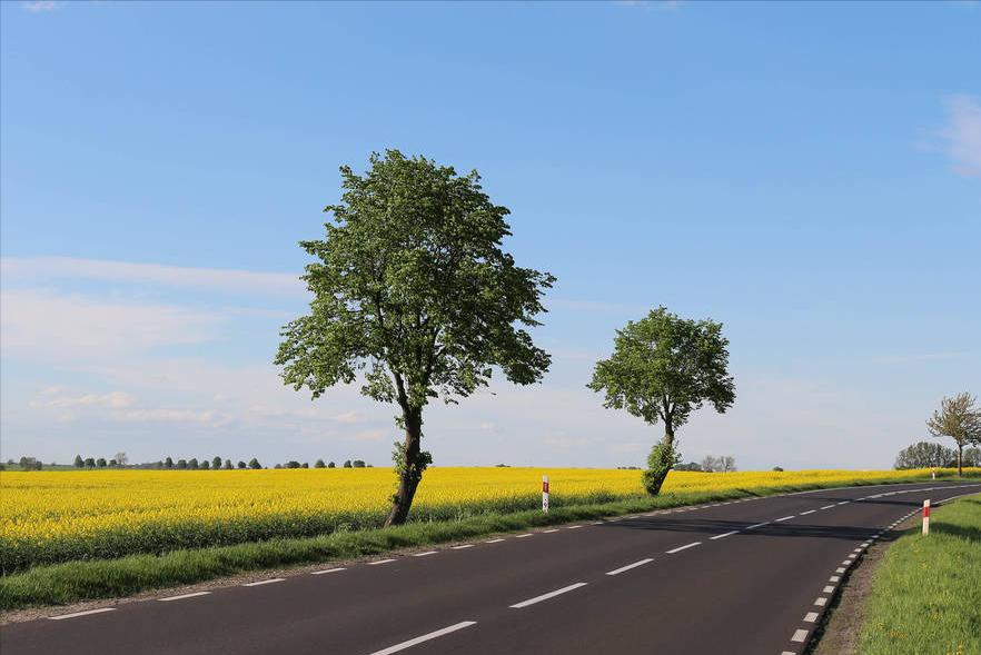 生活无奈又现实的句子朋友圈配图,销售早安朋友圈高质量句子加配图