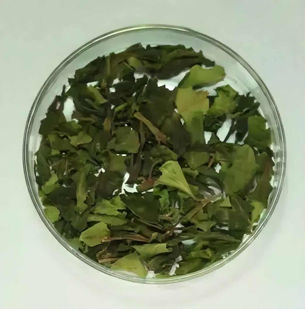 全国禁毒知识竞赛,高一禁毒知识答案