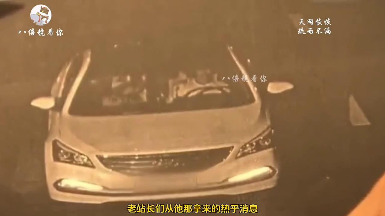 不明女尸案件纪实全集,湖边女尸谜案纪实完整版