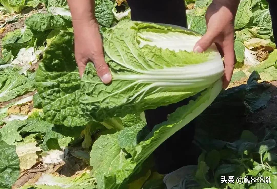 天奕商厦助力高考,天奕商厦企业精神