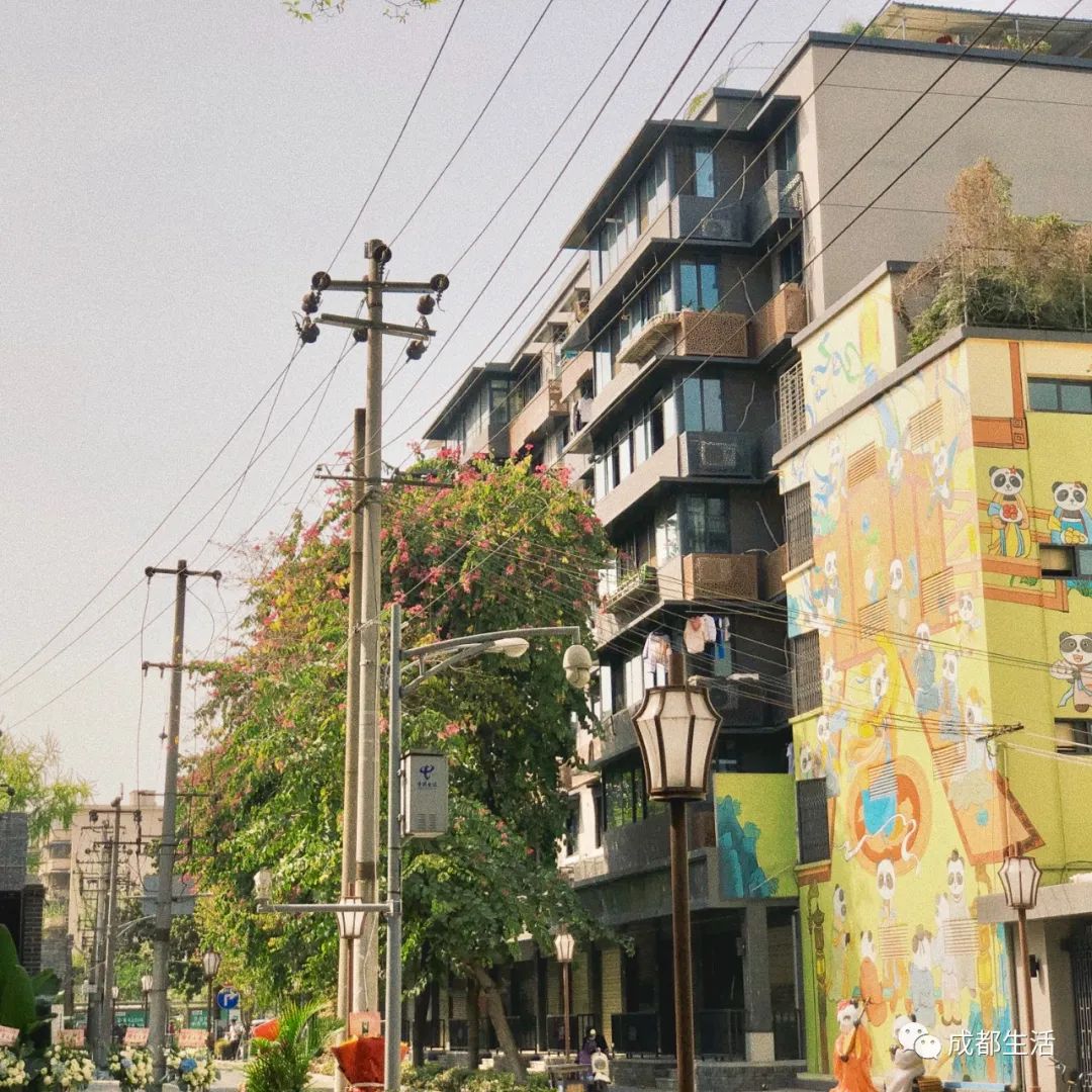 12条时髦老街，长满晒太阳的成都人