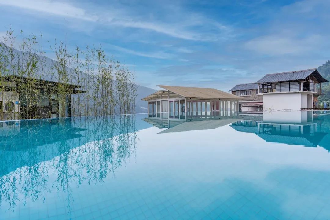 猫咪走太空步原视频最火,猫咪壁虎漫步视频