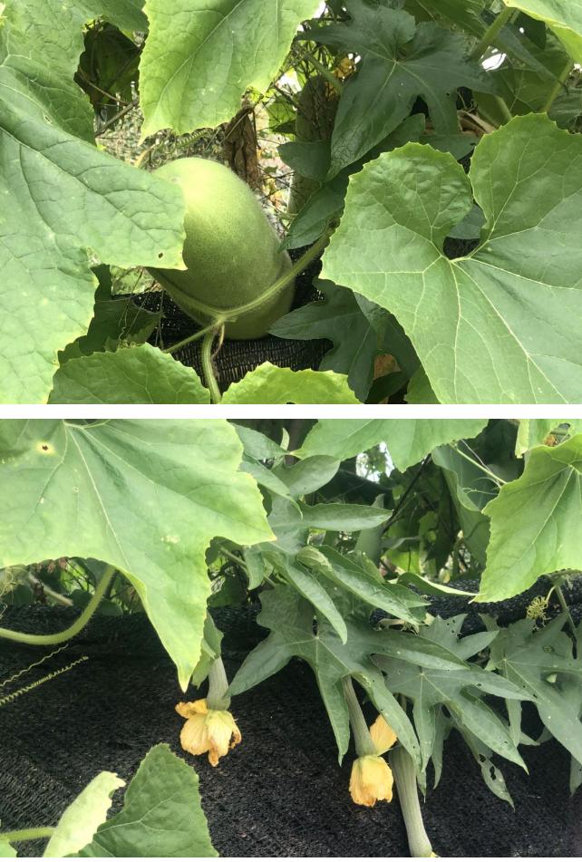 大唐华银光伏发电项目,大唐华银攸县光伏